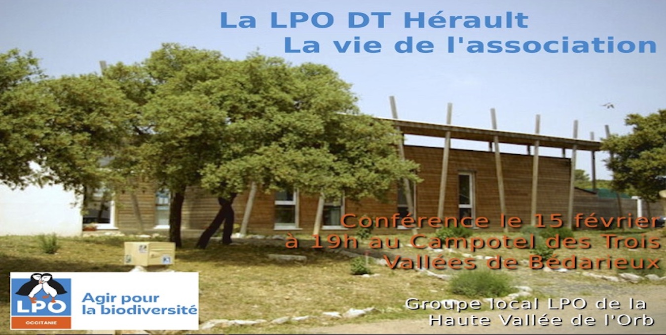 Salle de conférence vide